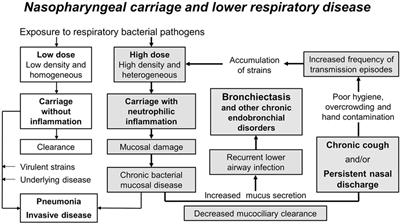 Bronchiectasis in Children: Current Concepts in Immunology and Microbiology